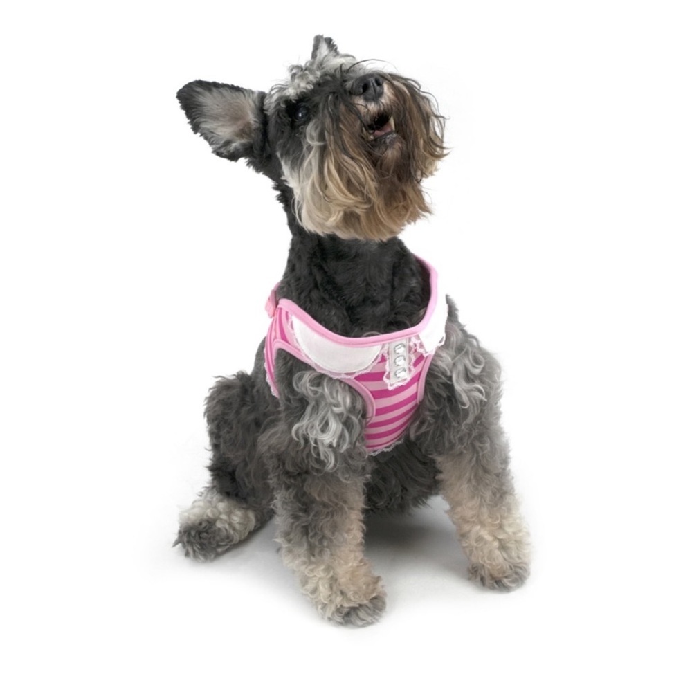NWT Vibrant Life Harness Dog Pink Striped Size Small  (up to 15 pounds)